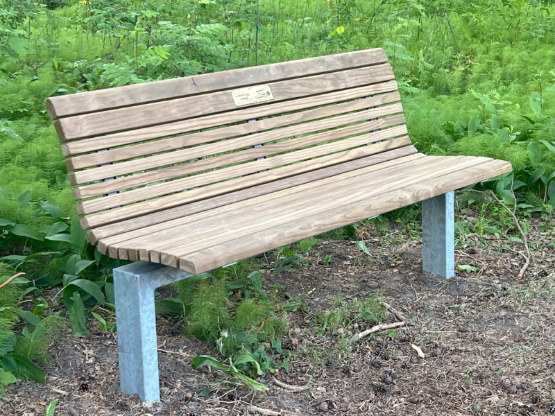 Flere benker i Schjongslunden
